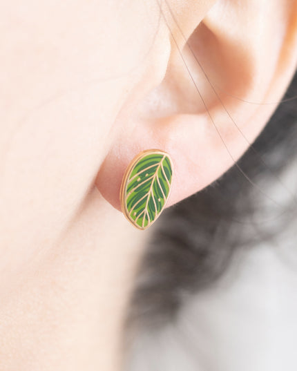 Calathea Makoyana (Peacock Plant) Earrings
