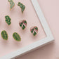 Pink Princess Philodendron Earrings