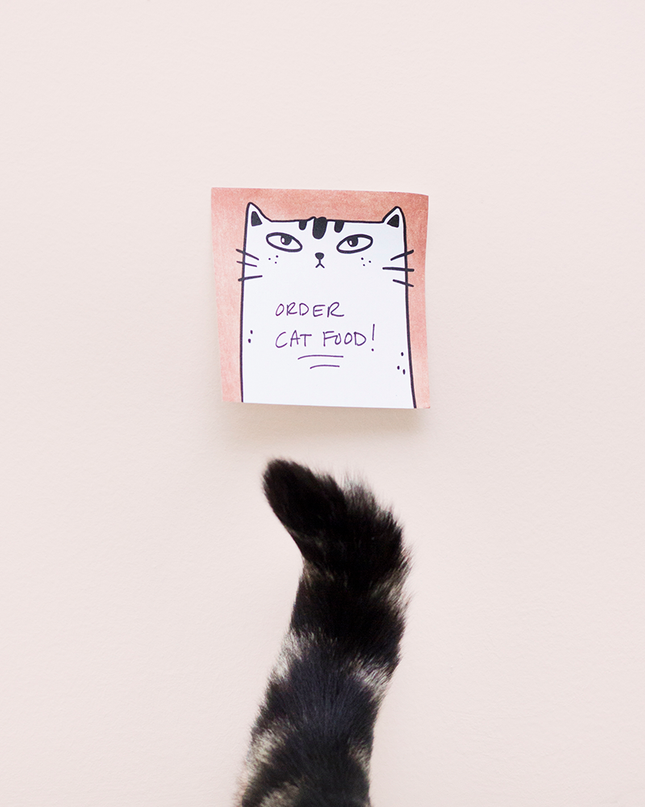Meow Portrait Sticky note