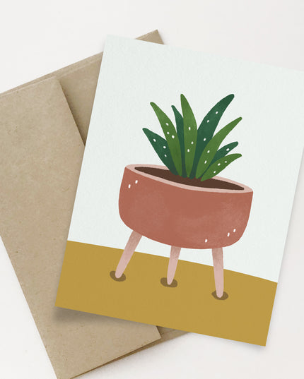 Snake Plants