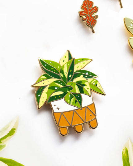 Marble Queen Pothos