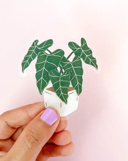 Alocasia Frydek Clear Sticker
