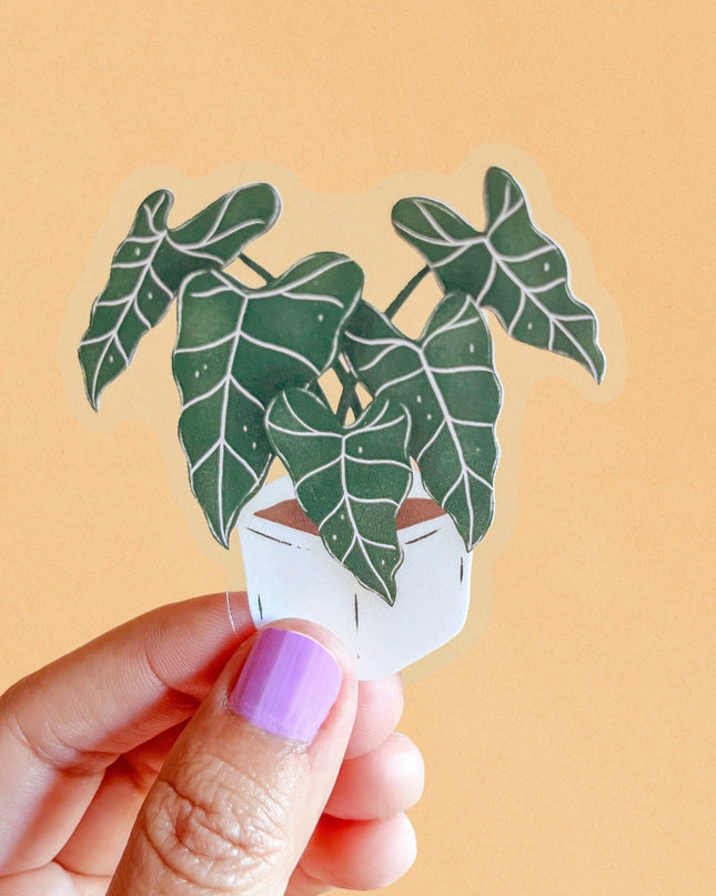 Alocasia Frydek Clear Sticker