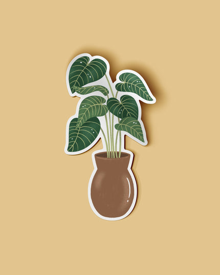Philodendron Gloriosum Gloss Vinyl Sticker