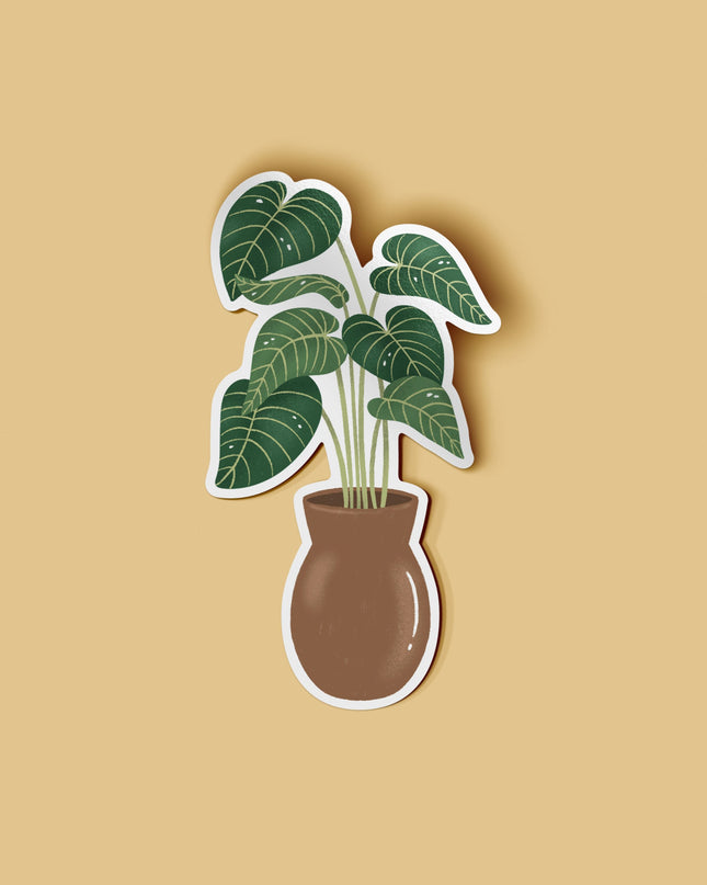 Philodendron Gloriosum Gloss Vinyl Sticker