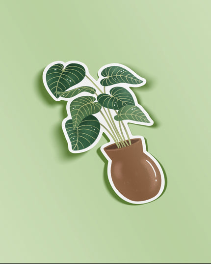 Philodendron Gloriosum Gloss Vinyl Sticker