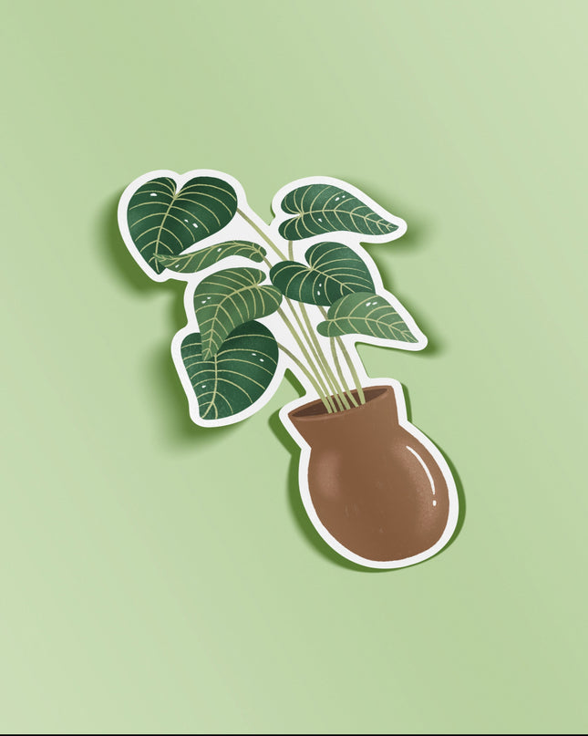 Philodendron Gloriosum Gloss Vinyl Sticker