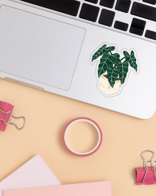 Alocasia Frydek Clear Sticker