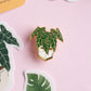 Alocasia Frydek Enamel Pin