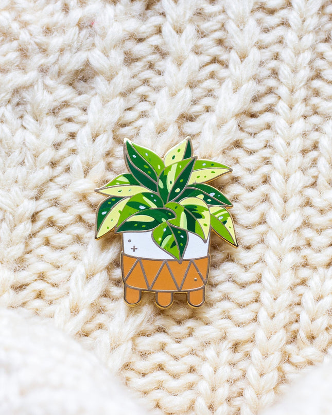 Marble Queen Pothos
