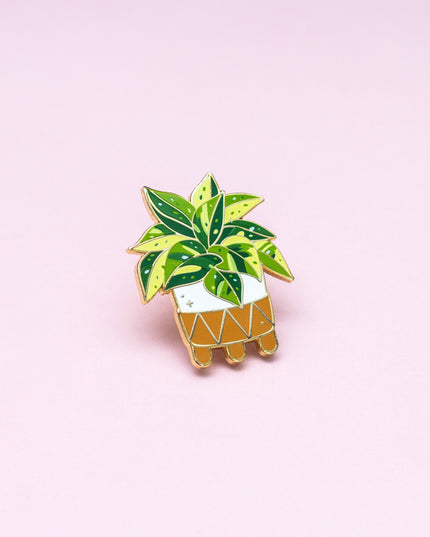 Marble Queen Pothos